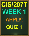CIS/207T WEEK 1 APPLY: QUIZ 1